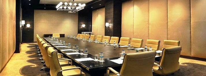 427/Radisson Blu Hotel Paschim Vihar - New Delhi 03.jpg